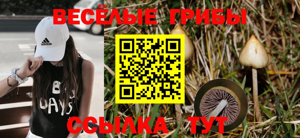 магазин    Галлюциногенные грибы мухоморы  Вход с VPN  Обь 